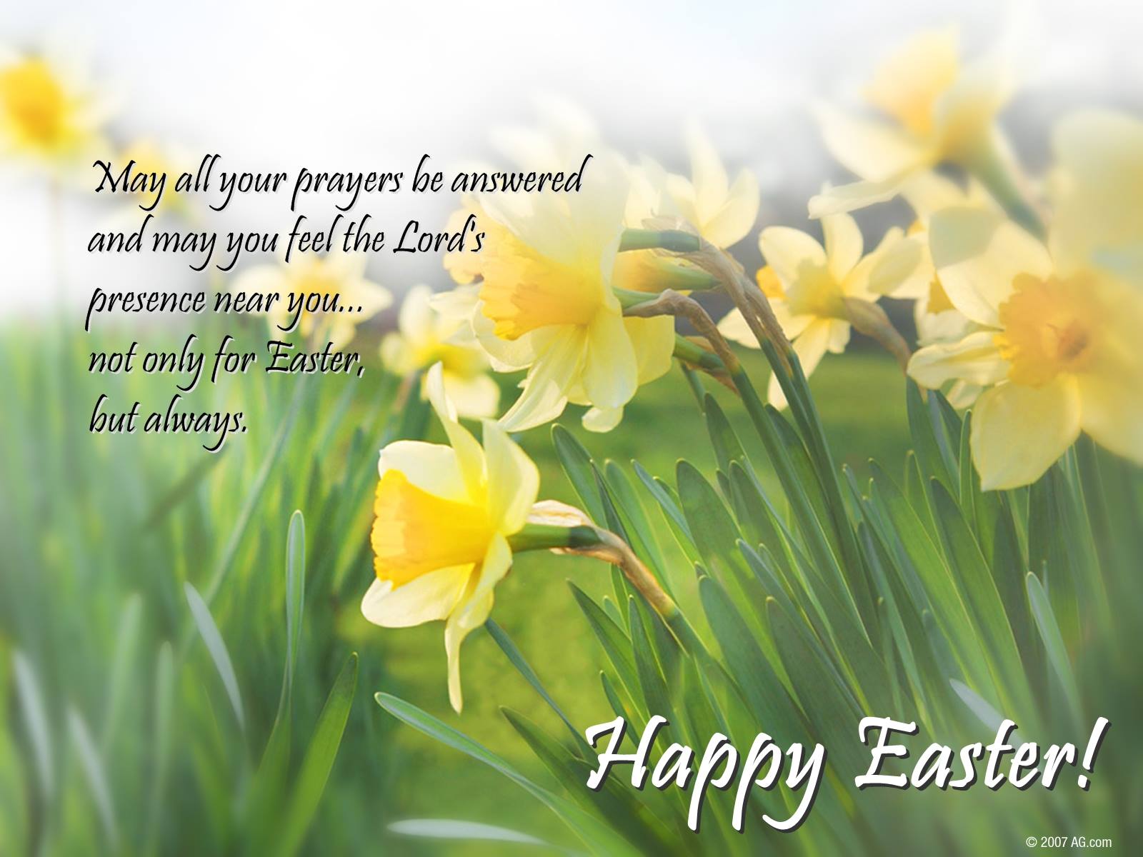 24++ Short Inspirational Easter Quotes Swan Quote